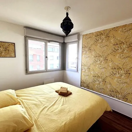 Apartment La Melee T3 Parking, Stade Toulousain, Airbus-airport